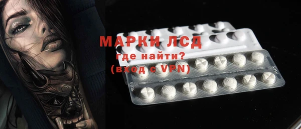 ешки Вяземский