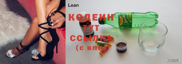 ешки Вяземский