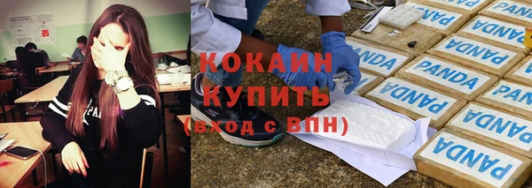 ешки Вяземский
