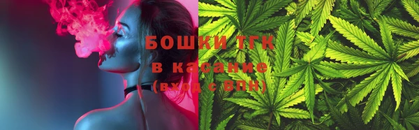 амф Верея