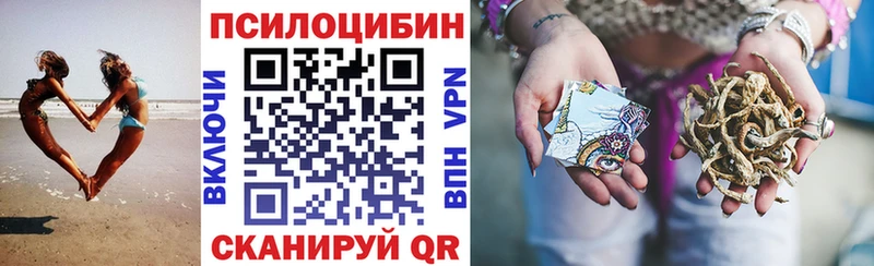 Галлюциногенные грибы Psilocybine cubensis  Духовщина 